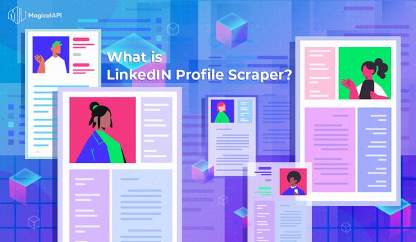 What is LinkedIn Profile Scraper?